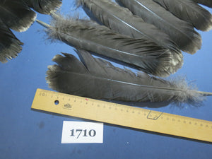 30 Pcs Black Turkey Tail Feathers, Fly Tying Materials,Long Feathers (1710)