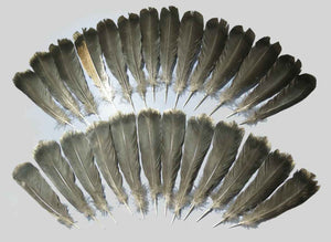 26 Pcs Natural Turkey Tail Feathers, Fly Tying Materials,Long Feathers. (1756)