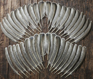 natural turkey feathers