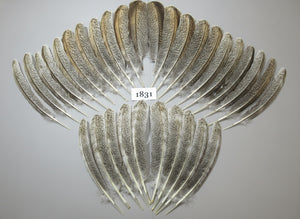 32 Pcs Natural Turkey Wing Feathers, Fly Tying Materials, Long Feathers. (1831)