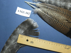 4 Pairs Of Turkey Feathers, Tail Feathers, Fly Tying Materials, Genuine Feathers (AMZ-302) DREAMMYFEATHERS