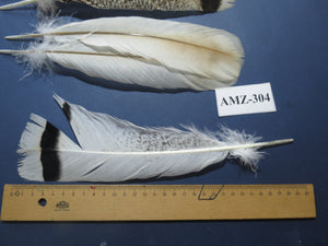 4 Pairs Of Turkey Feathers, Tail Feathers, Fly Tying Materials, Genuine Feathers (AMZ-304)