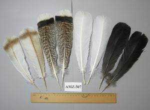 4 Pairs Of Turkey Feathers, Tail Feathers, Fly Tying Materials, Genuine Feathers (AMZ-307) DREAMMYFEATHERS