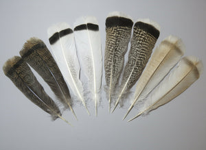 4 Pairs Of Turkey Feathers, Tail Feathers, Fly Tying Materials, Genuine Feathers (AMZ-310) DREAMMYFEATHERS