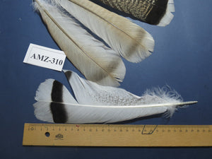 4 Pairs Of Turkey Feathers, Tail Feathers, Fly Tying Materials, Genuine Feathers (AMZ-310) DREAMMYFEATHERS