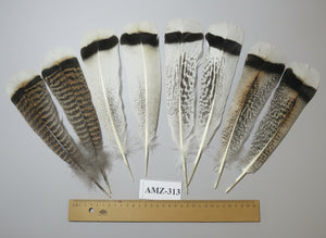4 Pairs Of Turkey Feathers, Tail Feathers, Fly Tying Materials, Genuine Feathers (AMZ-313)