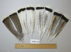 4 Pairs Of Turkey Feathers, Tail Feathers, Fly Tying Materials, Genuine Feathers (AMZ-313) DREAMMYFEATHERS