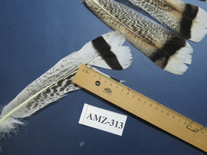 4 Pairs Of Turkey Feathers, Tail Feathers, Fly Tying Materials, Genuine Feathers (AMZ-313) DREAMMYFEATHERS