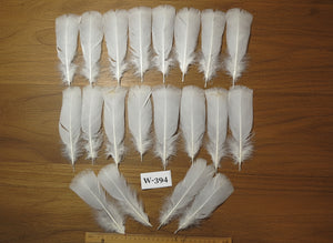 20 Pcs White Turkey Pre-Tail Feathers,Turkey Feathers,Fly Tying Material,Craft Feathers,Natural Feathers (W-394)