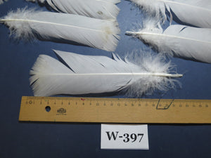 20 Pcs White Turkey Pre-Tail Feathers,Turkey Feathers,Fly Tying Material,Craft Feathers,Natural Feathers(W-397) DREAMMYFEATHERS