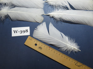 20 Pcs White Turkey Pre-Tail Feathers, Fly Tying Materials (W-398)