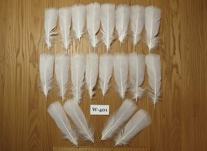 20 Pcs White Turkey Pre-Tail Feathers,Turkey Feathers,Fly Tying Material,Craft Feathers,Natural Feathers (W-401) DREAMMYFEATHERS