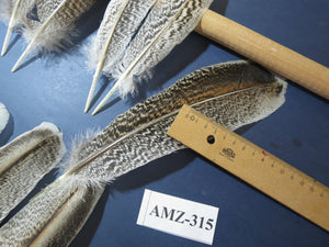 10 Pairs Turkey Wing Feathers, Amazing Feathers, Fly Tying Materials,(AMZ-315)