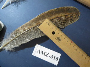 10 Pairs Turkey Wing Feathers, Amazing Feathers, Fly Tying Materials,(AMZ-316)
