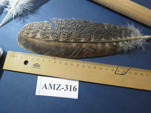 10 Pairs Turkey Wing Feathers, Turkey Feathers, Fly Tying Materials,(AMZ-316) DREAMMYFEATHERS