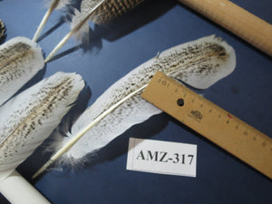 10 Pairs Turkey Wing Feathers,Turkey Feathers, Fly Tying Materials,(AMZ-317) DREAMMYFEATHERS