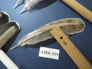 10 Pairs Turkey Wing Feathers, Amazing Feathers, Fly Tying Materials,(AMZ-319)
