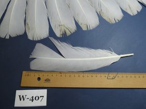 14 Pcs White Turkey Tail Feathers, Turkey Feathers,Fly Tying material (Fiber 40-55mm) (W-407)