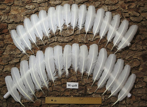 32 Pcs White Turkey Wing Feathers,Turkey Feathers,Fly Tying Material,Craft Feathers,Natural Feathers (W-418)