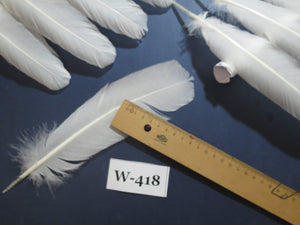 32 Pcs White Turkey Wing Feathers,Turkey Feathers,Fly Tying Material,Craft Feathers,Natural Feathers (W-418)