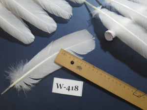 32 Pcs White Turkey Wing Feathers,Turkey Feathers,Fly Tying Material,Craft Feathers,Natural Feathers (W-418) DREAMMYFEATHERS