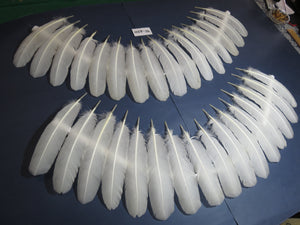 32 Pcs White Turkey Wing Feathers,Turkey Feathers,Fly Tying Material,Craft Feathers,Natural Feathers (W-420)