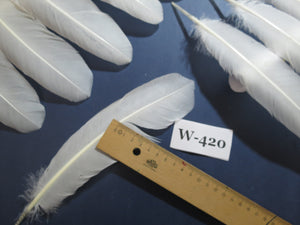 32 Pcs White Turkey Wing Feathers,Turkey Feathers,Fly Tying Material,Craft Feathers,Natural Feathers (W-420)