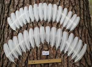 32 Pcs White Turkey Wing Feathers,Turkey Feathers,Fly Tying Material,Craft Feathers,Natural Feathers (W-421)