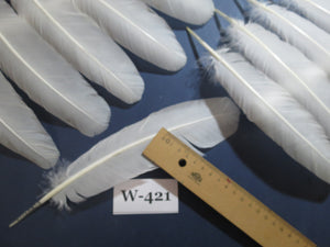 32 Pcs White Turkey Wing Feathers,Turkey Feathers,Fly Tying Material,Craft Feathers,Natural Feathers (W-421)
