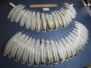 38 Pcs Natural Turkey Wing Feathers, Turkey Feathers,Fly Tying Material,Craft Feathers,Natural Feathers(1893)