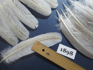 44 Pcs Natural Turkey Wing Feathers, Turkey Feathers,Fly Tying Material,Craft Feathers,Natural Feathers(1898)