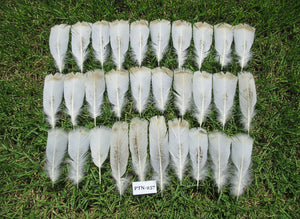 30 Pcs Natural Turkey Pre-Tail Feathers,Turkey Feathers,Fly Tying Material,Craft Feathers,Natural Feathers PTN-257