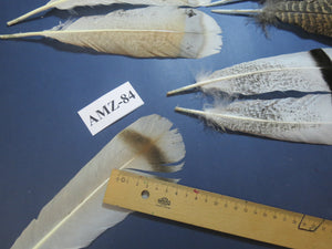 8 Pairs Turkey Feathers, Tail Feathers, Fly Tying Materials, Natural Feathers (AZM-84)