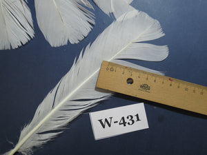 16 Pcs White Turkey Tail Feathers, Fly Tying Materials,Long Feathers. (W-431)