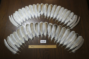 42 Pcs Natural Turkey Wing Feathers, Turkey Feathers,Fly Tying Material,Craft Feathers,Natural Feathers (1948)