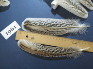 36 Pcs Natural Turkey Wing Feathers, Fly Tying Materials, Hat Feathers (1961)