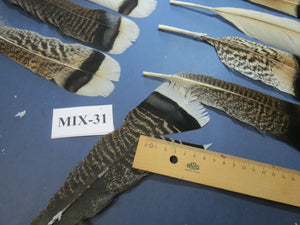 24 Pcs Natural Turkey Tail Feathers, Fly Tying Materials, Genuine Feathers (MIX-31)