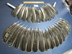 30 Pcs Natural Turkey Wing Feathers, Turkey Feathers,Fly Tying Material,Craft Feathers,Natural Feathers (1970)