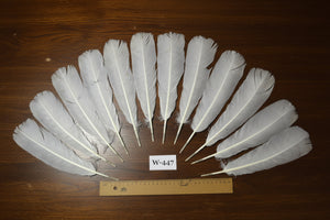 12 Pcs White Turkey Tail Feathers, Fly Tying Materials,Long Feathers. (W-447)
