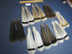 8 Pairs Turkey Feathers, Tail Feathers, Turkey Feathers,Fly Tying Material,Craft Feathers,Natural Feathers (AMZ-325)