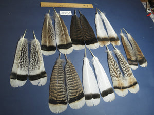 8 Pairs Turkey Feathers, Tail Feathers,Turkey Feathers,Fly Tying Material,Craft Feathers,Natural Feathers (AMZ-327)
