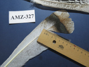 8 Pairs Turkey Feathers, Tail Feathers,Turkey Feathers,Fly Tying Material,Craft Feathers,Natural Feathers (AMZ-327)