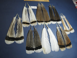 8 Pairs Turkey Feathers, Tail Feathers, Turkey Feathers,Fly Tying Material,Craft Feathers,Natural Feathers (AMZ-329)