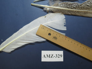 8 Pairs Turkey Feathers, Tail Feathers, Turkey Feathers,Fly Tying Material,Craft Feathers,Natural Feathers (AMZ-329)