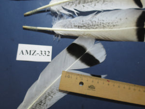 8 Pairs Turkey Feathers, Tail Feathers, Turkey Feathers,Fly Tying Material,Craft Feathers,Natural Feathers (AMZ-332)