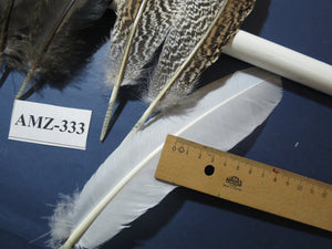 10 Pairs Turkey Wing Feathers, Amazing Feathers,Turkey Feathers,Fly Tying Material,Craft Feathers,Natural Feathers(AMZ-333) DREAMMYFEATHERS