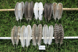 10 Pairs Turkey Wing Feathers, Turkey Feathers,Fly Tying Material,Craft Feathers,Natural Feathers(AMZ-334)