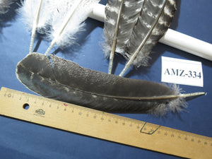 10 Pairs Turkey Wing Feathers, Turkey Feathers,Fly Tying Material,Craft Feathers,Natural Feathers(AMZ-334) DREAMMYFEATHERS