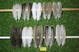 10 Pairs Turkey Wing Feathers, Amazing Feathers, Fly Tying Materials,(AMZ-335)