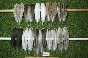 10 Pairs Turkey Wing Feathers, Amazing Feathers, Fly Tying Materials,(AMZ-337)
